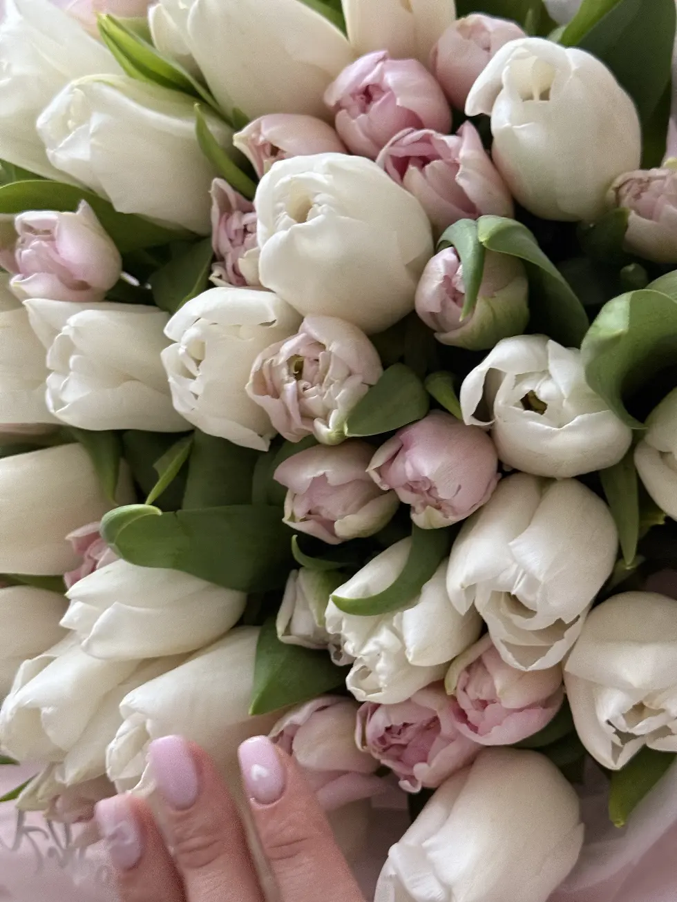 Букет Весенний поцелуй