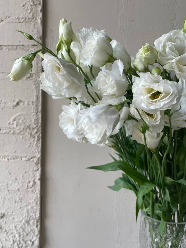 Лизиантусы (эустома): букет и уход